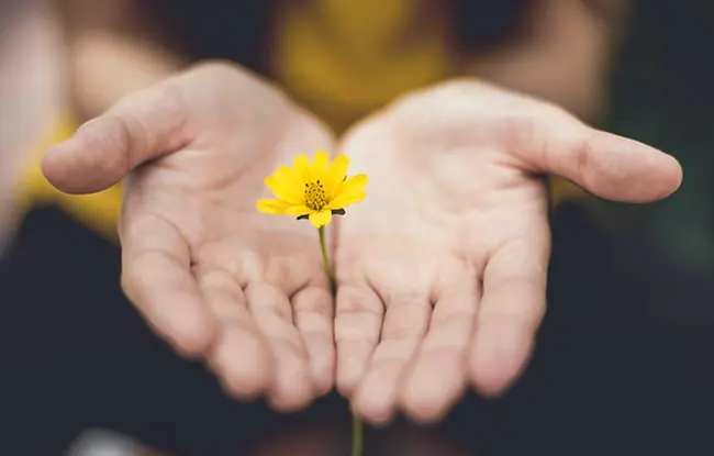 Compassionate Service
